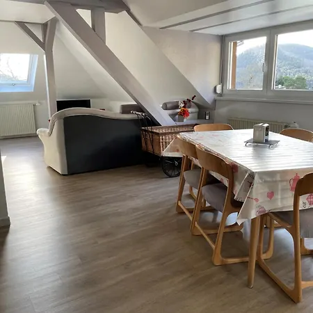 Gite Spacieux, Lumineux Et Tres Cosy Lautenbach Exterior photo