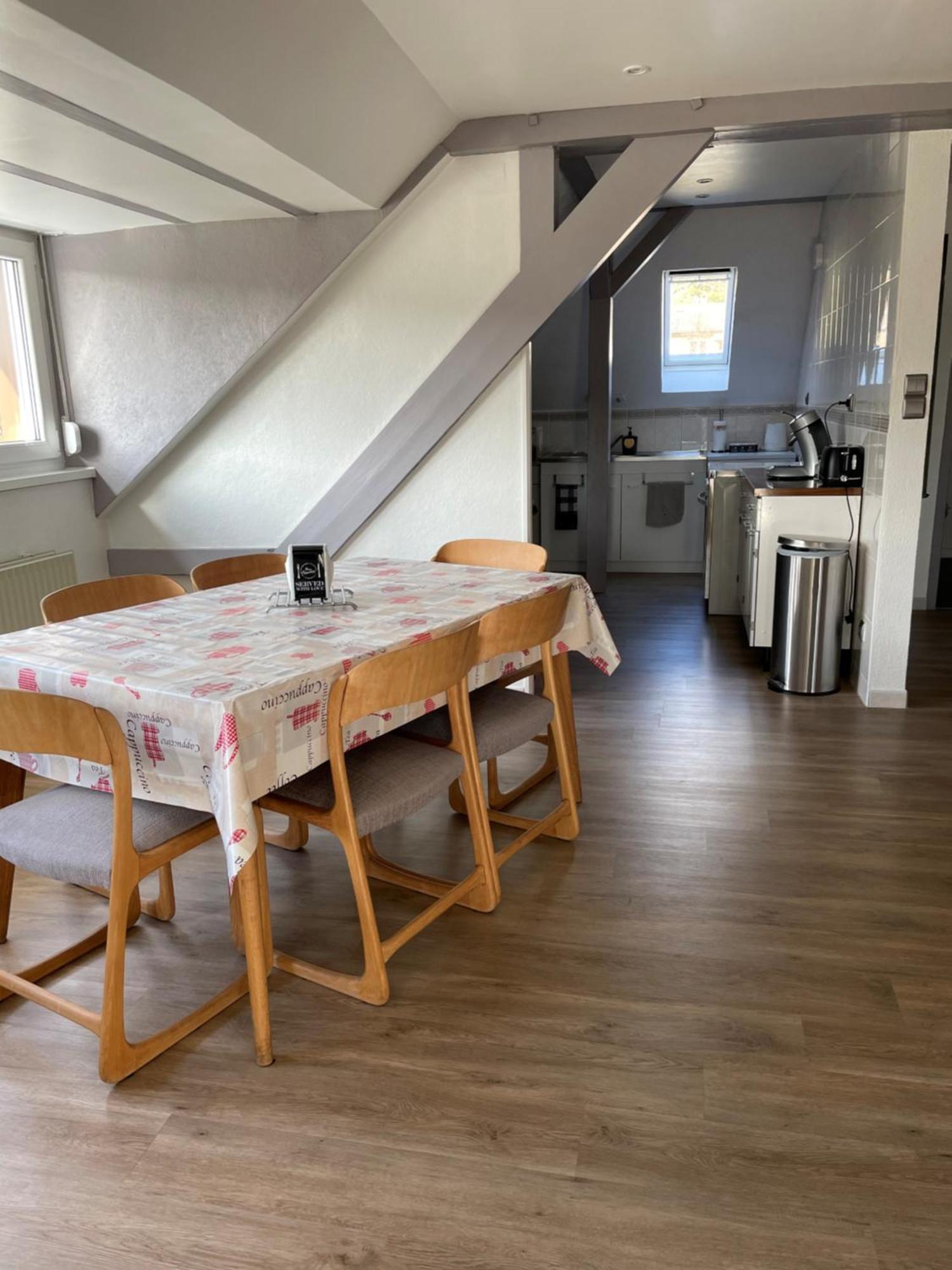 Apartment Spacieux, Lumineux Et Tres Cosy *