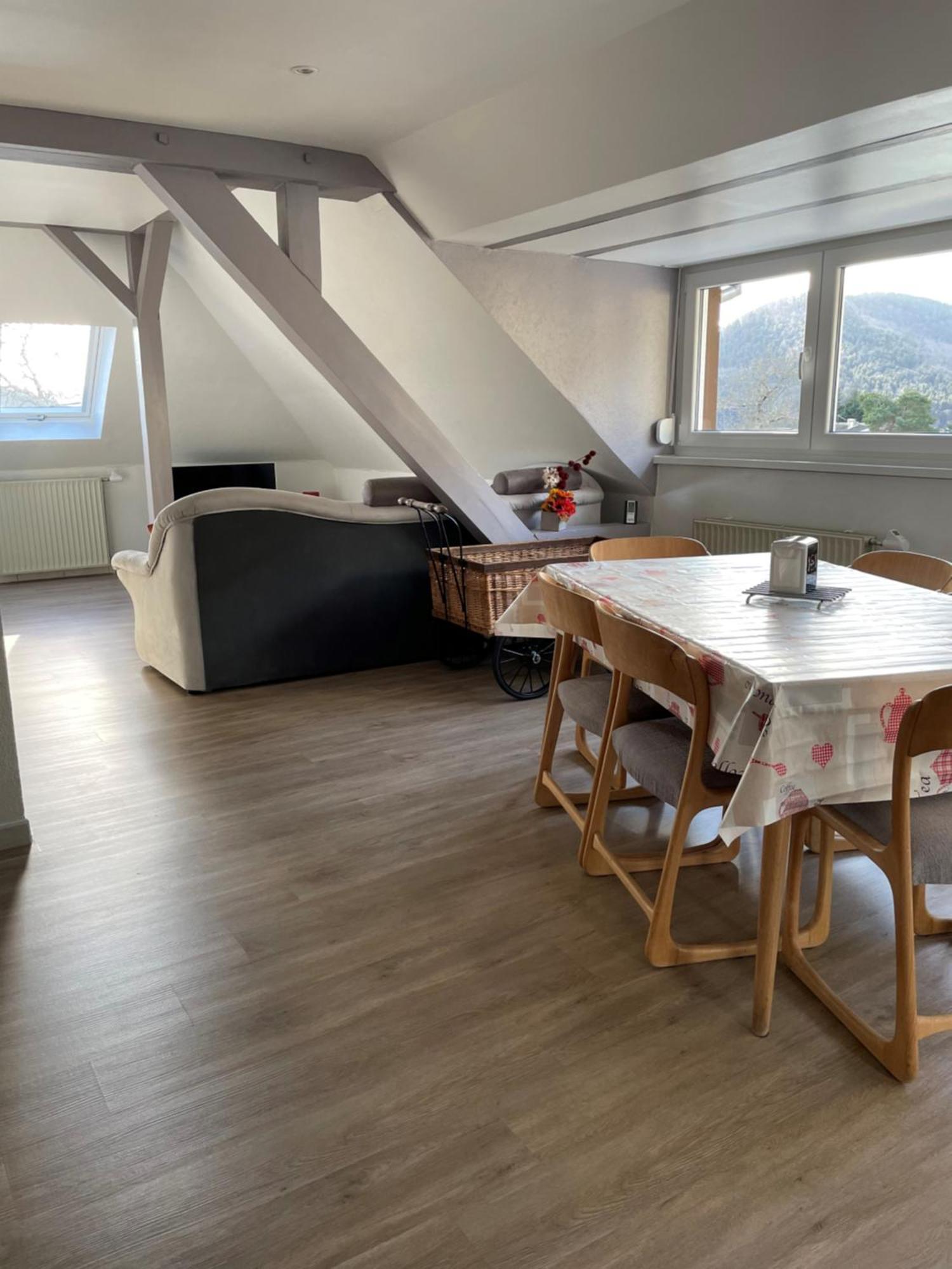 Apartment Spacieux, Lumineux Et Tres Cosy Lautenbach